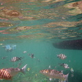 2015-08-15 Seychellen 2.2 125