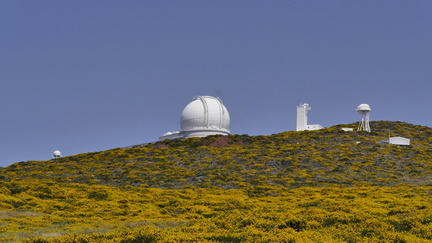 La Palma 075