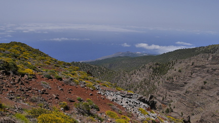 La Palma 079