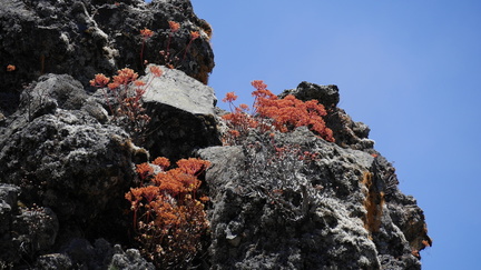 La Palma 153