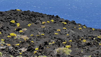 La Palma 339 (2)