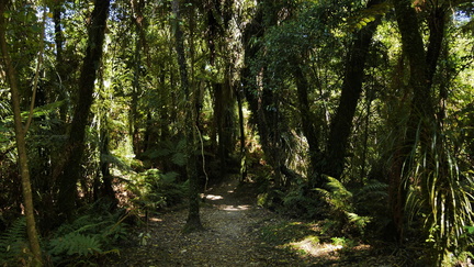 Fjordland - Westcoast - Abel Tasman (210)