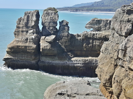 Fjordland - Westcoast - Abel Tasman (238)