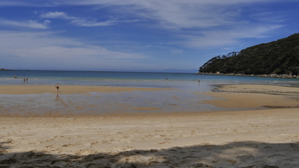 Fjordland - Westcoast - Abel Tasman (376)