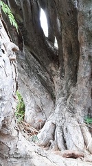 2022-12-09 13-35-23 20221209 133523