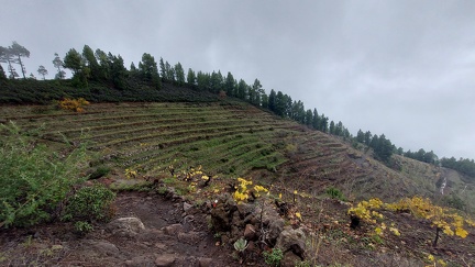 2022-12-10 12-21-37 1670674900599