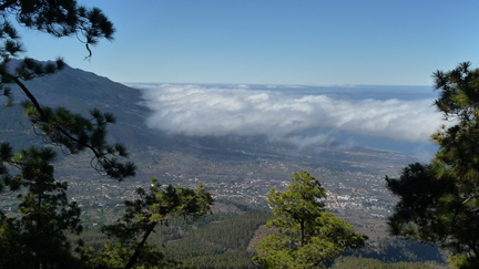 La Palma 650 012