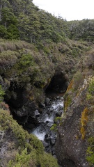 Wellington -  Coromandel (109)