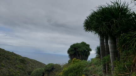 2022-12-09 13-33-39 1670592822758